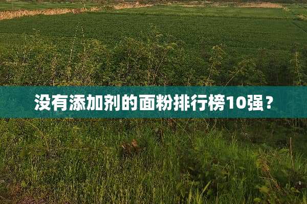 没有添加剂的面粉排行榜10强？