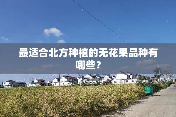 最适合北方种植的无花果品种有哪些？