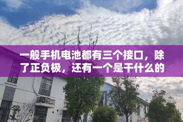 一般手机电池都有三个接口，除了正负极，还有一个是干什么的？