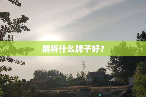 **什么牌子好？