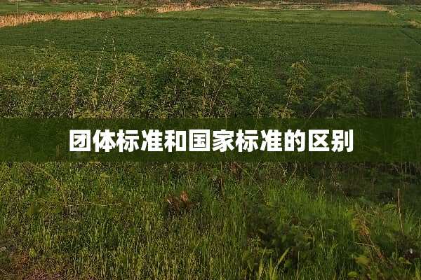 团体标准和国家标准的区别