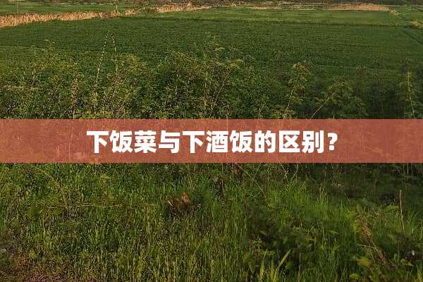 下饭菜与下酒饭的区别？
