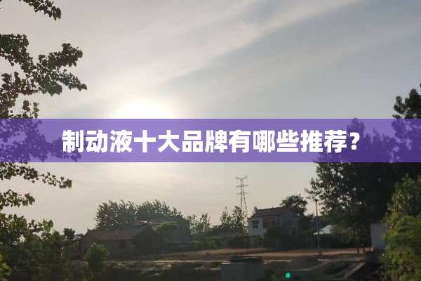 制动液十大品牌有哪些推荐？