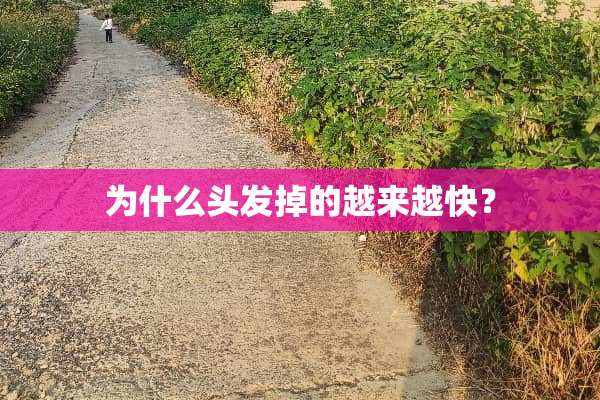 为什么头发掉的越来越快？