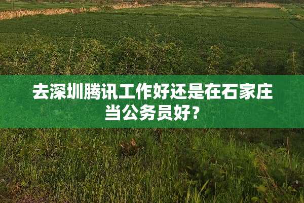 去深圳腾讯工作好还是在石家庄当公务员好？