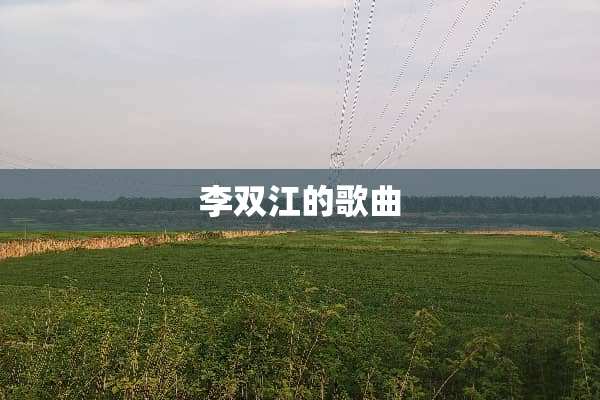 李双江的歌曲