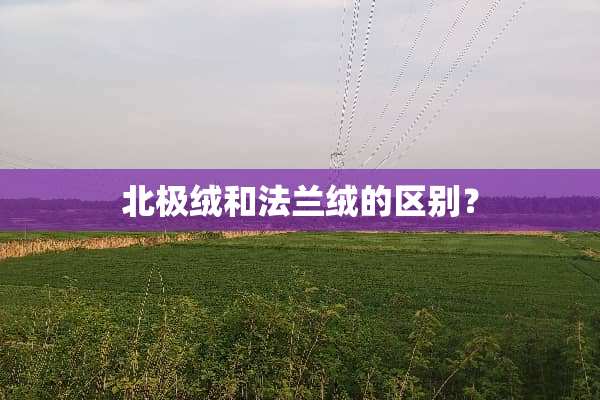 北极绒和法兰绒的区别？