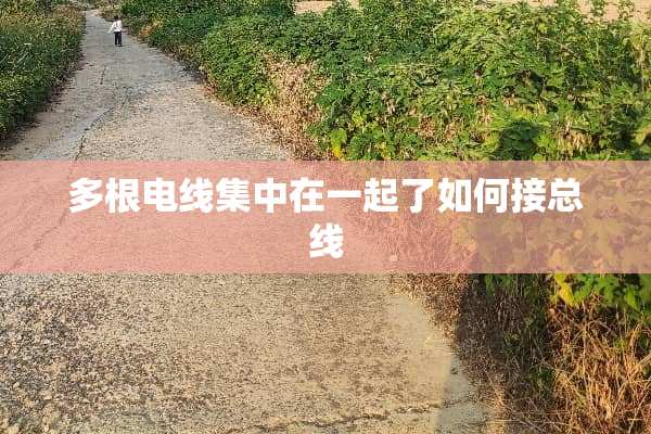 多根电线集中在一起了如何接总线