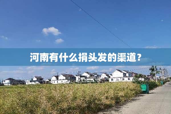 河南有什么捐头发的渠道？