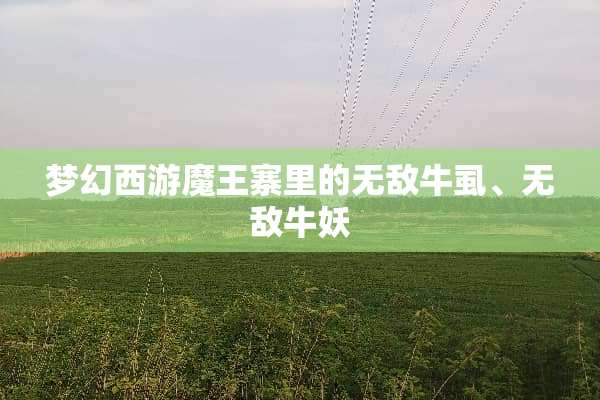 梦幻西游魔王寨里的无敌牛虱、无敌牛妖