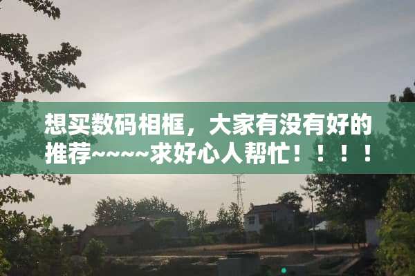 想买数码相框，大家有没有好的推荐~~~~求好心人帮忙！！！！