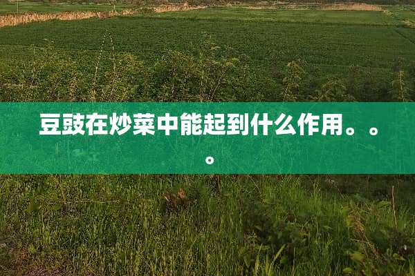 豆豉在炒菜中能起到什么作用。。。