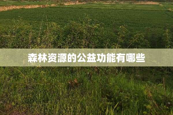 森林资源的公益功能有哪些