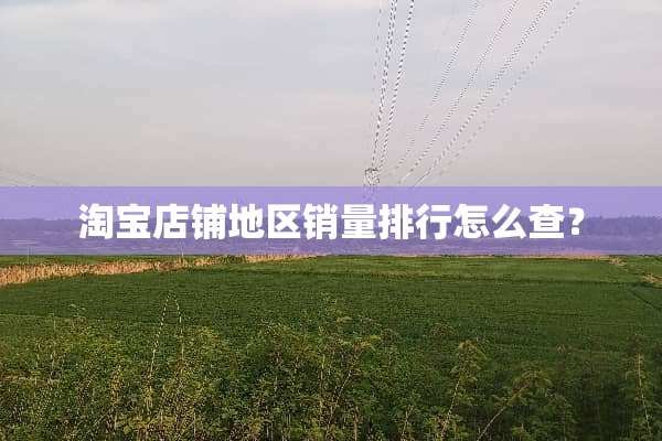 淘宝店铺地区销量排行怎么查？