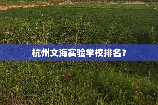 杭州文海实验学校排名？