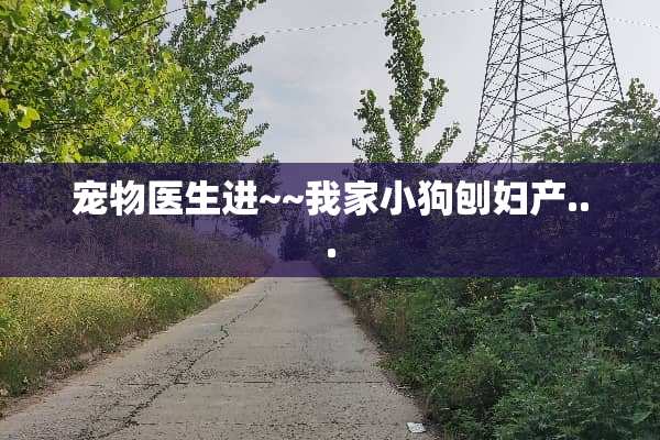 宠物医生进~~我家小狗刨妇产...
