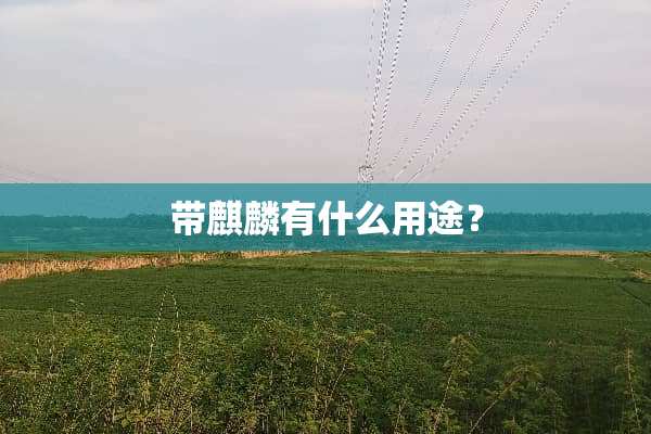 带麒麟有什么用途？