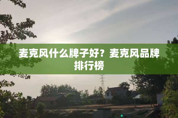 麦克风什么牌子好？麦克风品牌排行榜