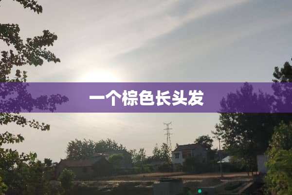 一个棕色长头发
