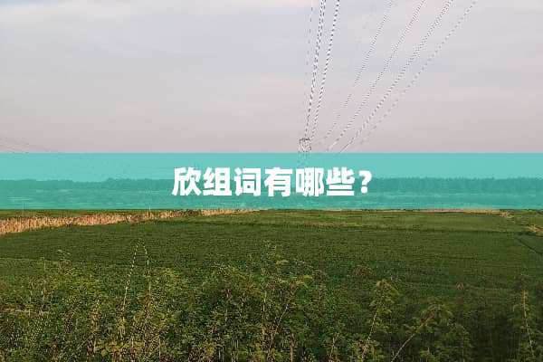 欣组词有哪些？