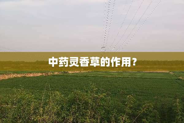 中药灵香草的作用？
