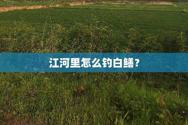 江河里怎么钓白鳝？