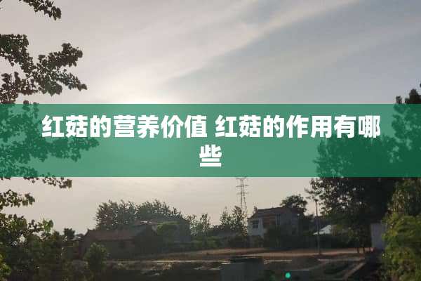 红菇的营养价值 红菇的作用有哪些