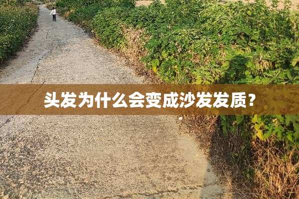 头发为什么会变成沙发发质？