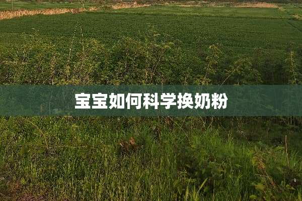 宝宝如何科学换奶粉