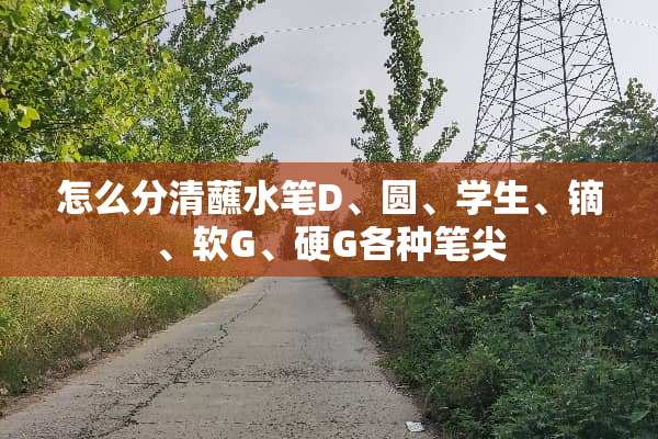 怎么分清蘸水笔D、圆、学生、镝、软G、硬G各种笔尖