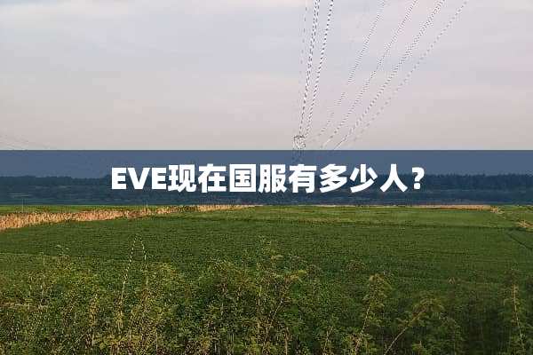 EVE现在国服有多少人？