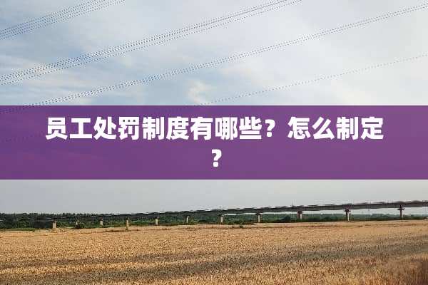 员工处罚制度有哪些？怎么制定？