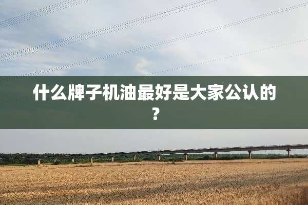 什么牌子机油最好是大家公认的？