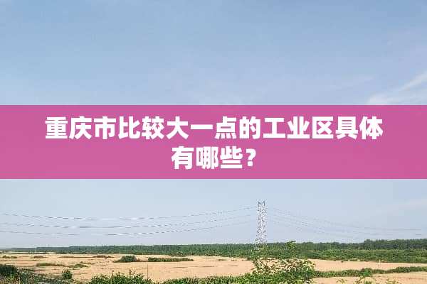 重庆市比较大一点的工业区具体有哪些？