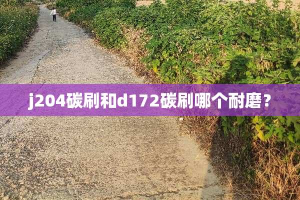 j204碳刷和d172碳刷哪个耐磨？