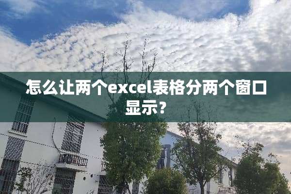怎么让两个excel表格分两个窗口显示？