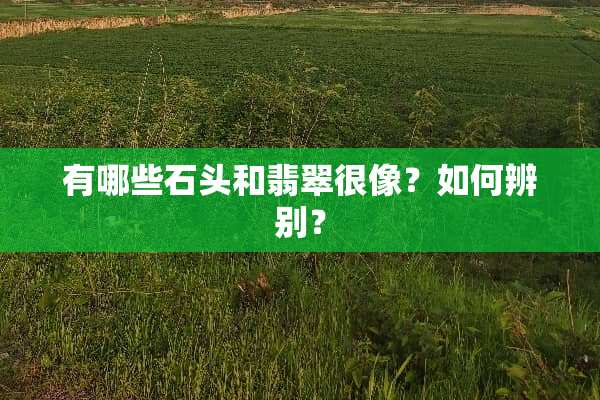 有哪些石头和翡翠很像？如何辨别？