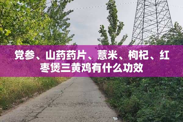 *参、山药药片、薏米、枸杞、红枣煲三黄鸡有什么功效