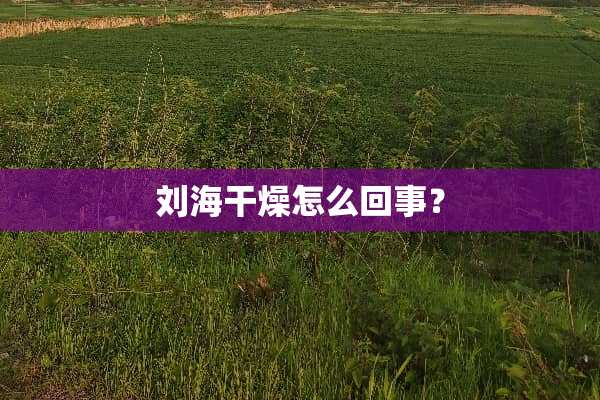 刘海干燥怎么回事？