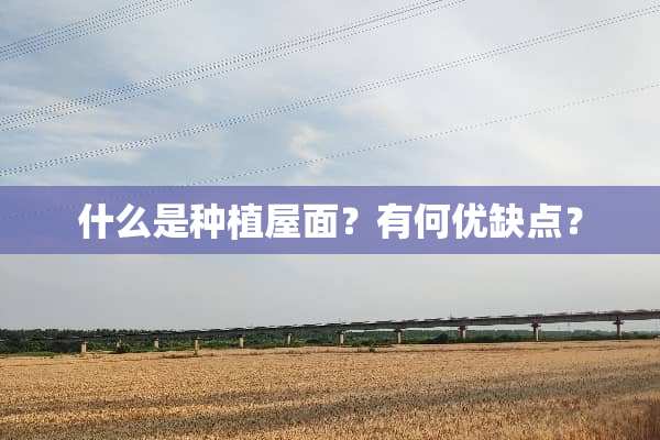 什么是种植屋面？有何优缺点？