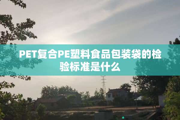 PET复合PE塑料食品包装袋的检验标准是什么