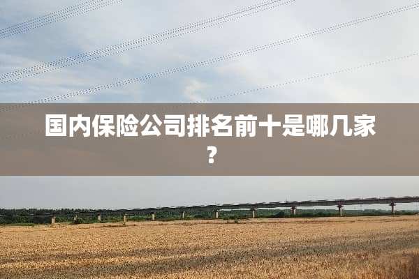 国内保险公司排名前十是哪几家？