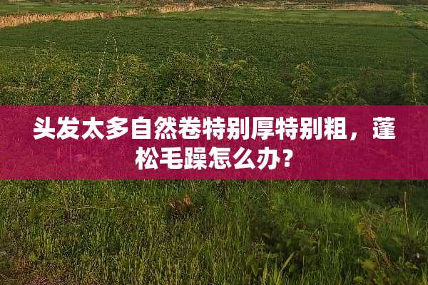 头发太多自然卷特别厚特别粗，蓬松毛躁怎么办？