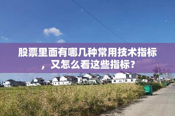 股票里面有哪几种常用技术指标，又怎么看这些指标？