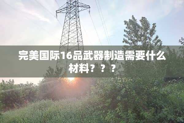 完美国际16品**制造需要什么材料？？？