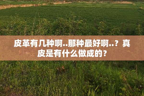 皮革有几种啊..那种最好啊..？真皮是有什么做成的？