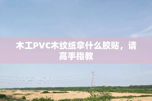 木工PVC木纹纸拿什么胶贴，请高手指教