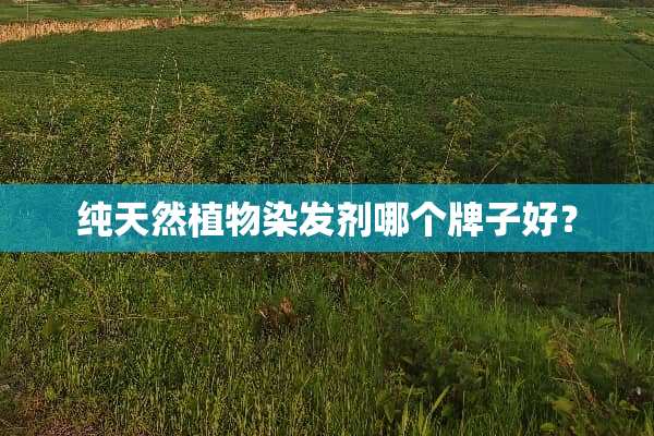 纯天然植物染发剂哪个牌子好？