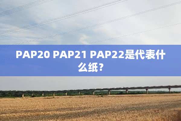 PAP20 PAP21 PAP22是代表什么纸？