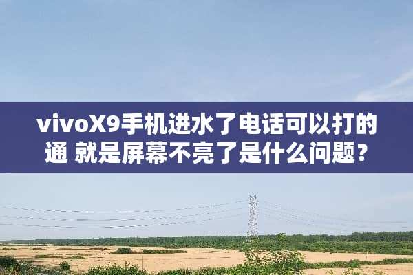vivoX9手机进水了电话可以打的通 就是屏幕不亮了是什么问题？